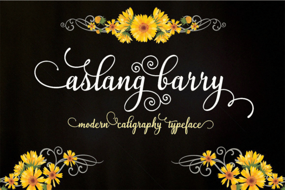Aslang Barry Font for Elegant Campaigns