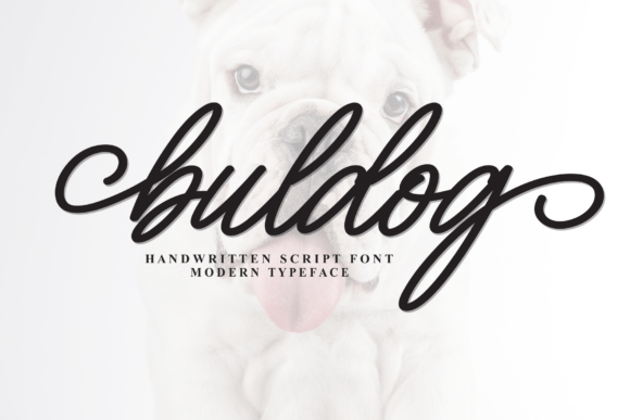 Buldog Font: Creative Script for Digital Campaigns
