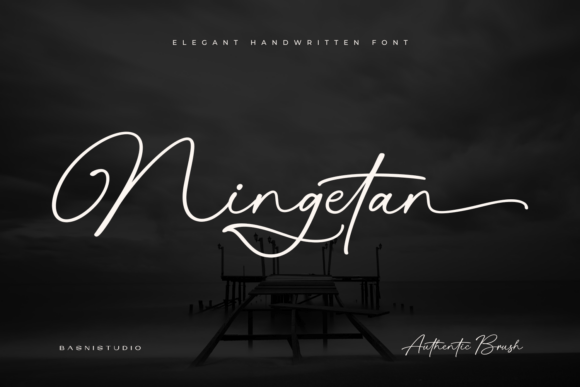 Ningetan: Elegant Handwritten Font